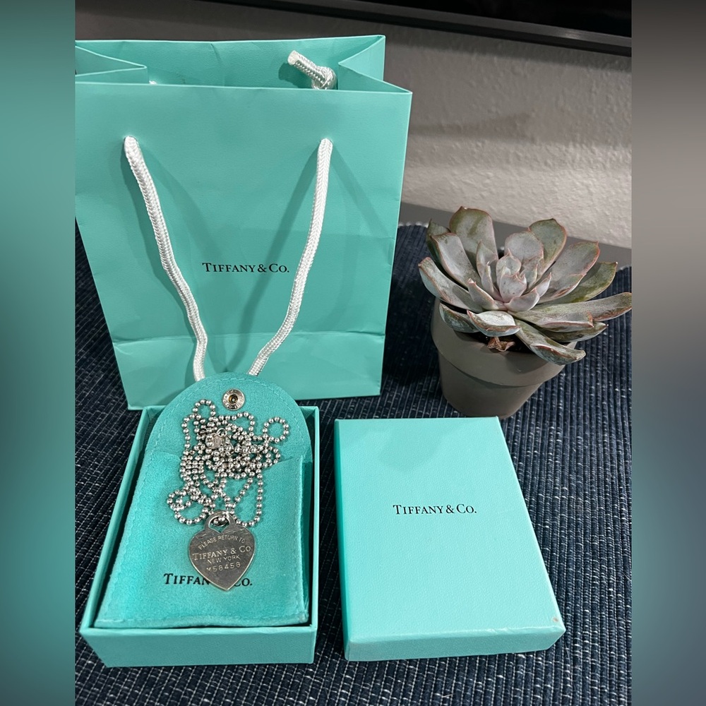 Tiffany & Co 925 necklace 34 in